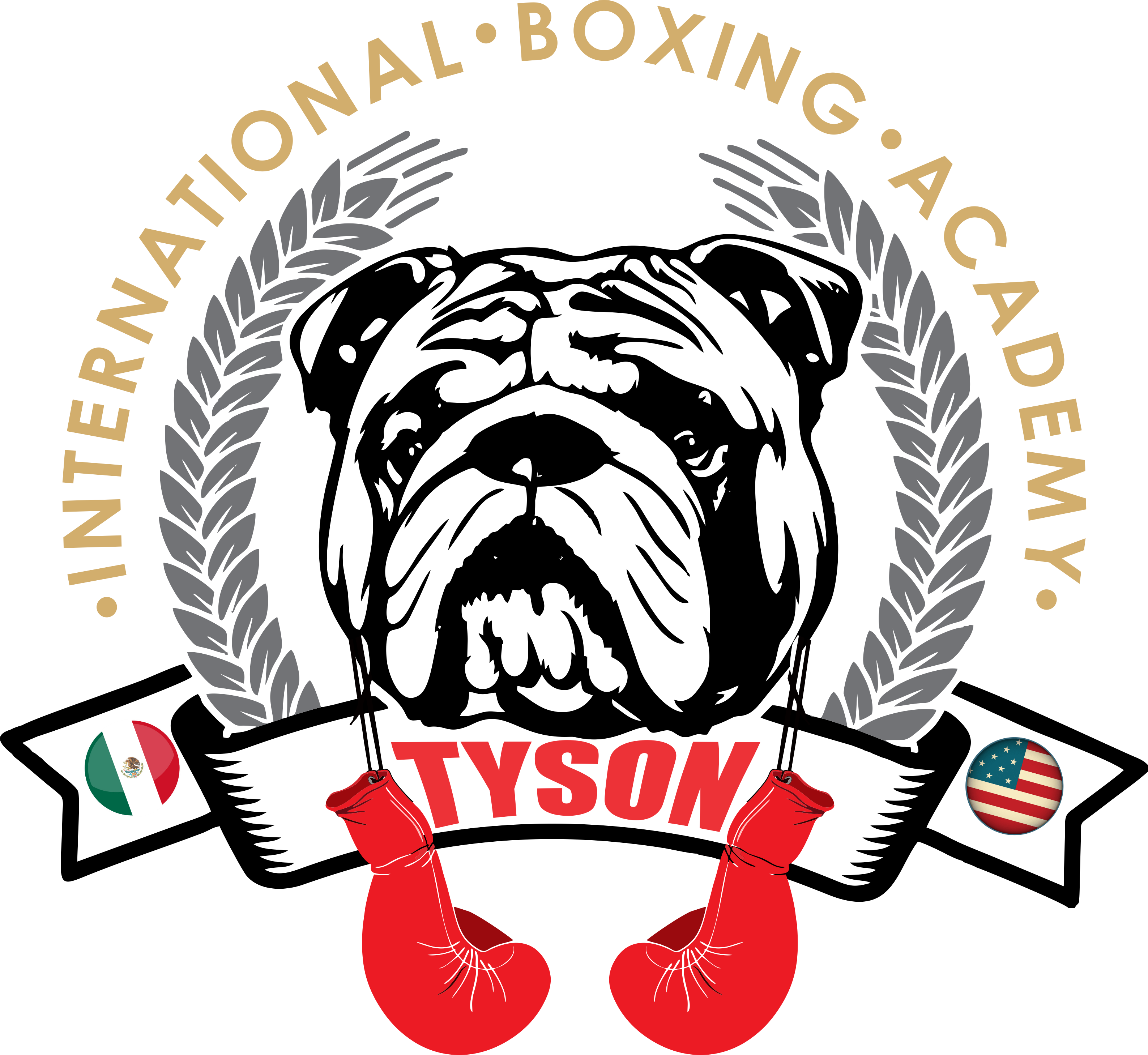 TYSON International Boxing Academy